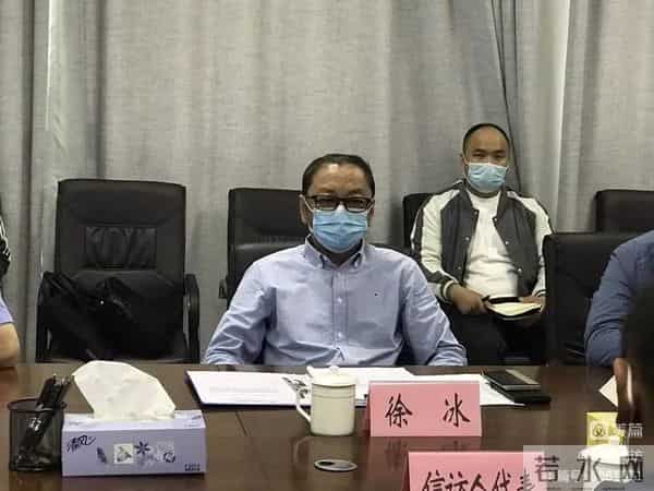 王菲菲个人资料