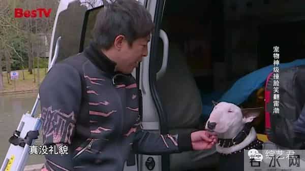 罗志祥老婆最喜欢的颜色