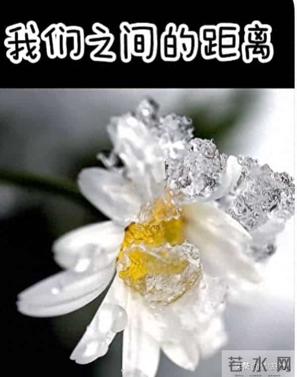 我们之间的距离每天一点点靠近