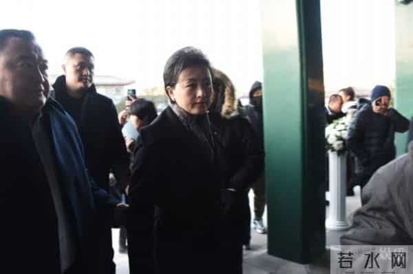 赵忠祥的最新消息