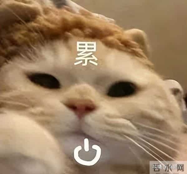 丁蟹效应是什么意思