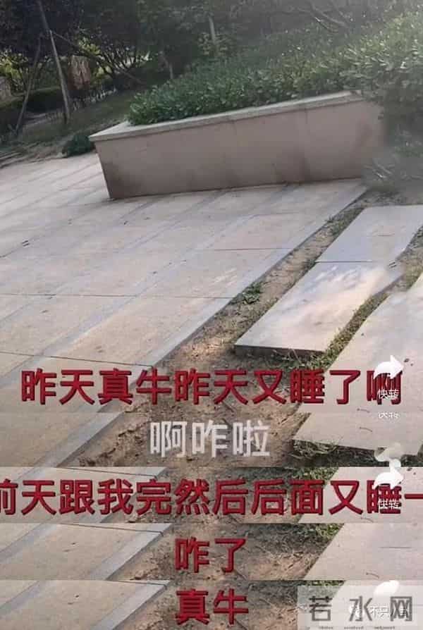 盛英豪多高