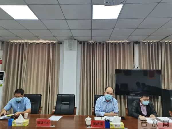 王菲菲个人资料