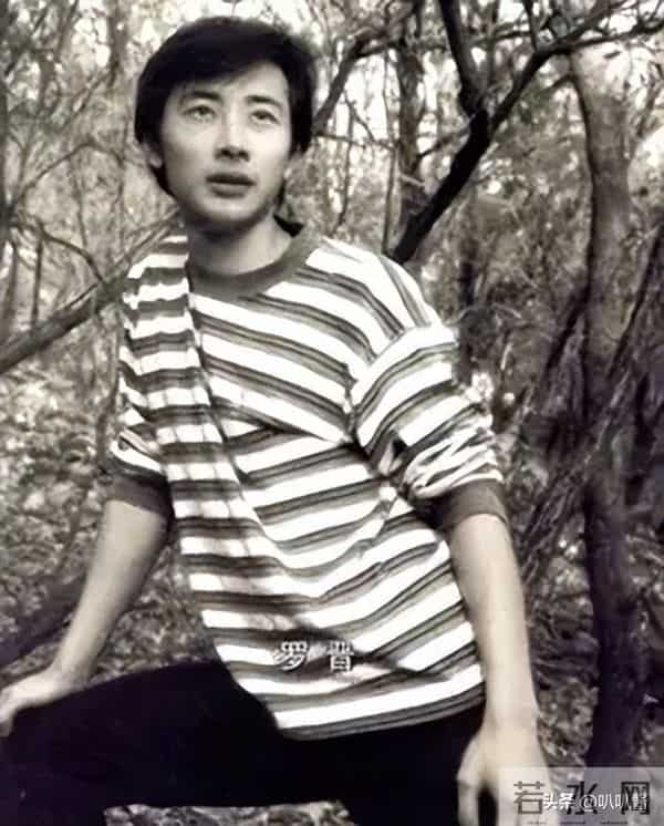 爱情美剧盛典苗圃罗晋