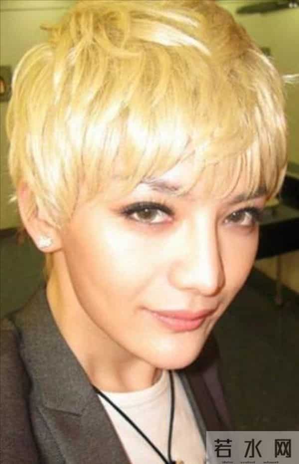 张绍刚怼晕求职者