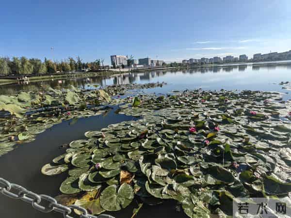 秋风吹起原唱完整版