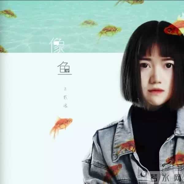 张禾禾个人资料