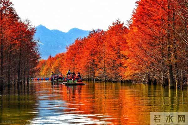 十月一适合去哪旅游