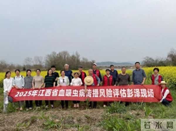 林丹丹个人资料