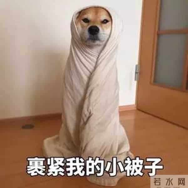 张云龙王一菲恋情