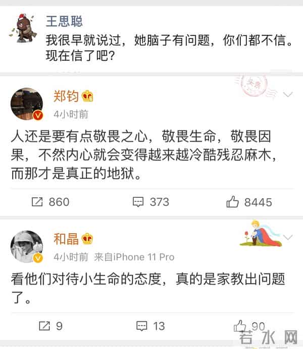 辛芷蕾点赞郑爽张恒