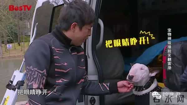 罗志祥老婆最喜欢的颜色