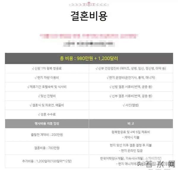 七年的爱金贤政