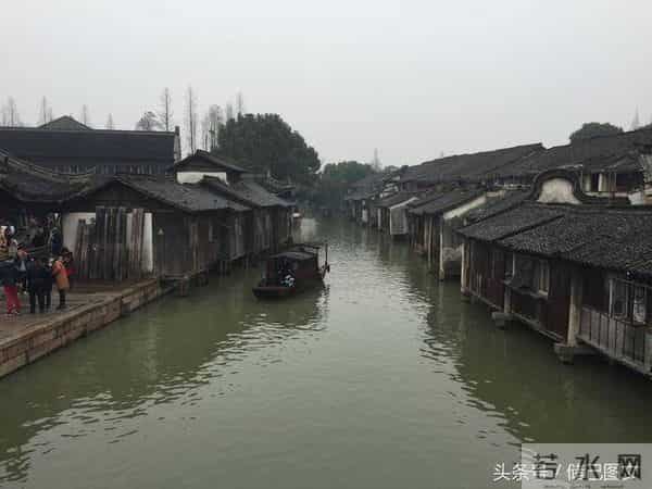 刘若英为什么叫奶茶