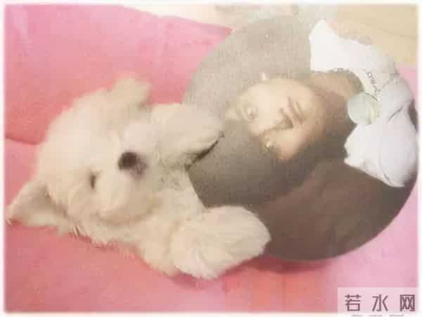 宋茜和昌珉的恋情