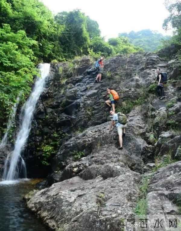 陈静事件完整照片