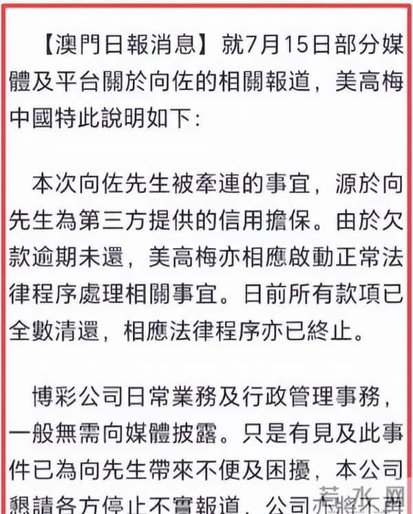 向佐被打事件真相