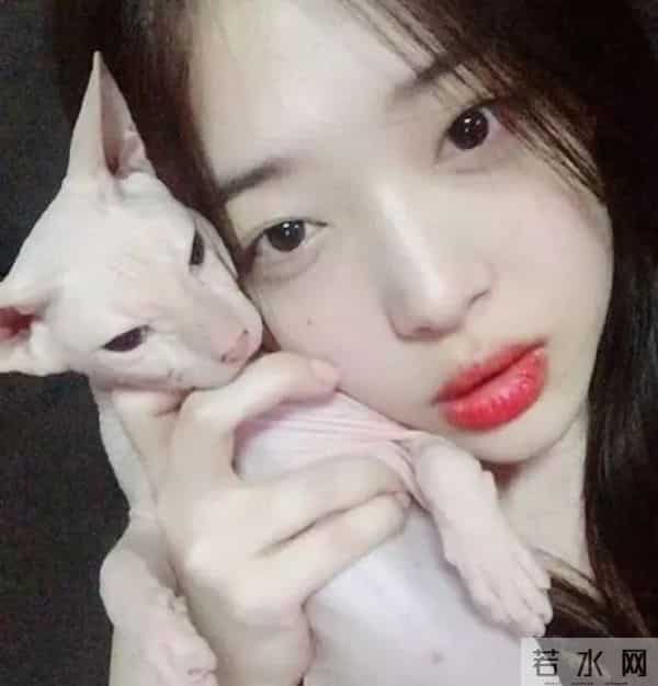 金希澈收养雪莉的猫