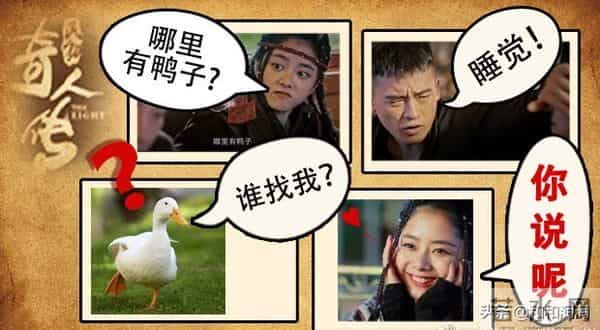 欧豪谭松韵憨憨夫妇