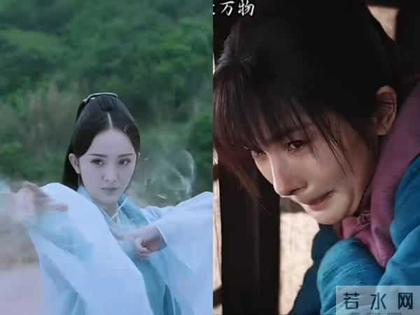 杨幂支持赵文卓