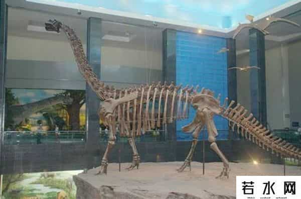 恐龙世纪,恐龙世纪长达数千万年，据说一颗上百公里的陨石将此毁于一旦