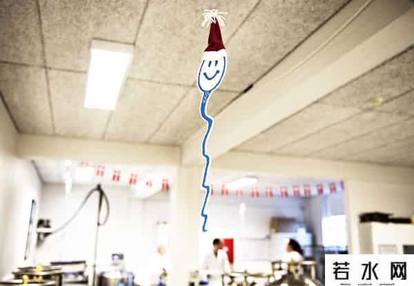 人类精子库,「图集」精子掀起“涨价潮”：镜头下的全球人类精子库