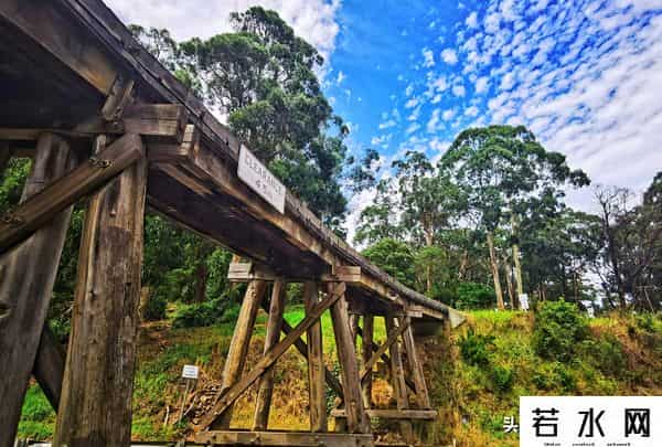 woola,放慢脚步游澳洲（4）企鹅岛，我和自然有个约定