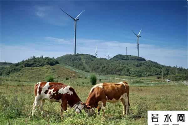 稻田丽森,太美,齐岳山风光在《人民日报》头版刊发