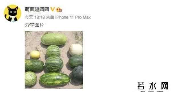 李佳琦的瓜,赵圆圆碰阿里“红线”被辞，称李佳琦薇娅幕后推手，发十个瓜回应