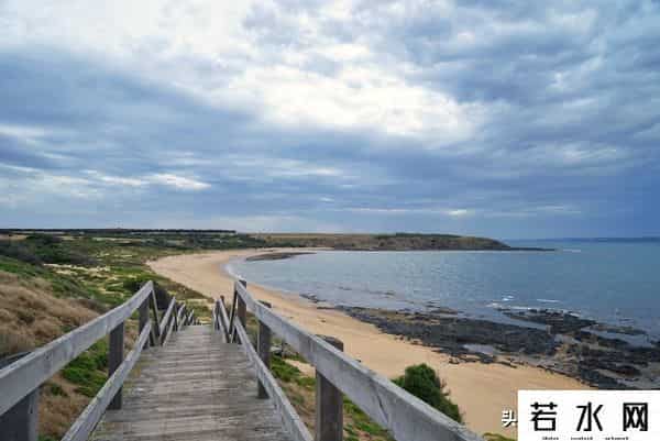 woola,放慢脚步游澳洲（4）企鹅岛，我和自然有个约定