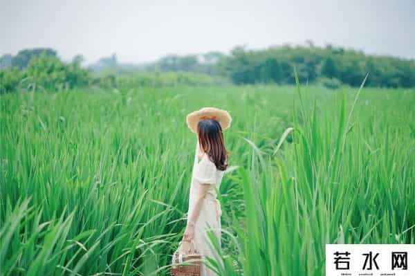 不快乐,人，为什么不快乐？句句扎心