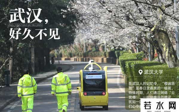 好久不见武汉,武汉,好久不见