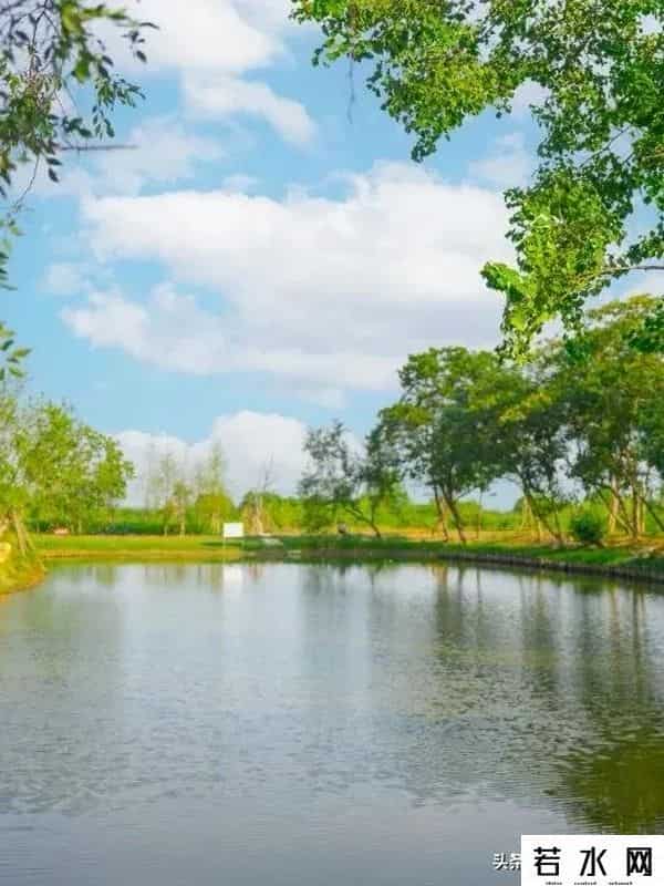 王巍然,武汉新城未来湾项目,打造为农文旅融合示范点,武汉新城新地标。