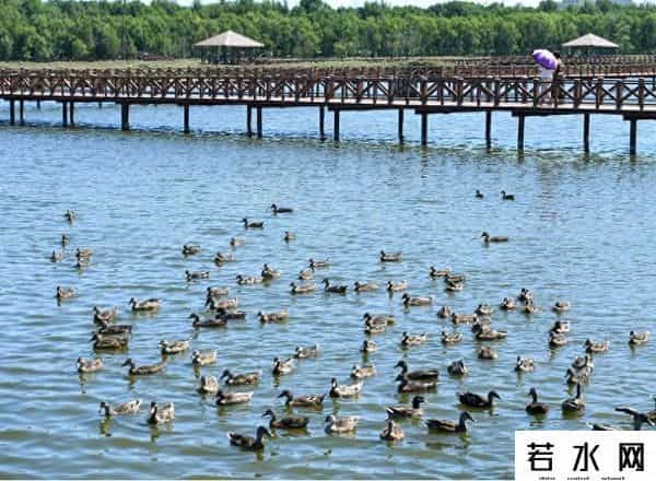 季节限定,半月谈丨半年冰天雪地，半年绿水青山：冰雪高地打破“季节限定”