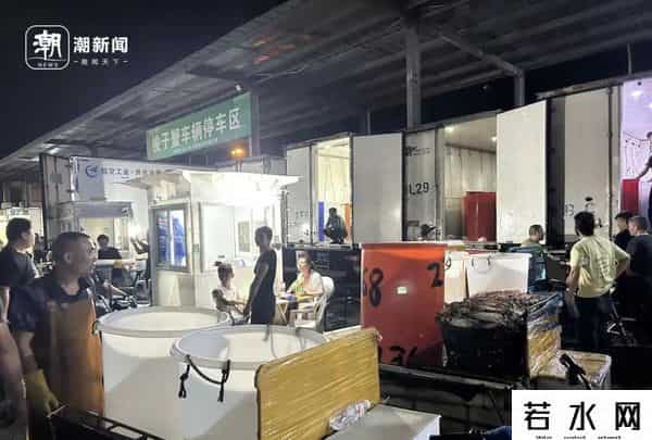 杭州抢人大战,杭州凌晨抢蟹大战：一斤只要2块，真有人拼车去捡漏！