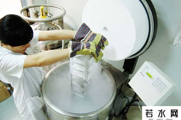 人类精子库,「图集」精子掀起“涨价潮”：镜头下的全球人类精子库