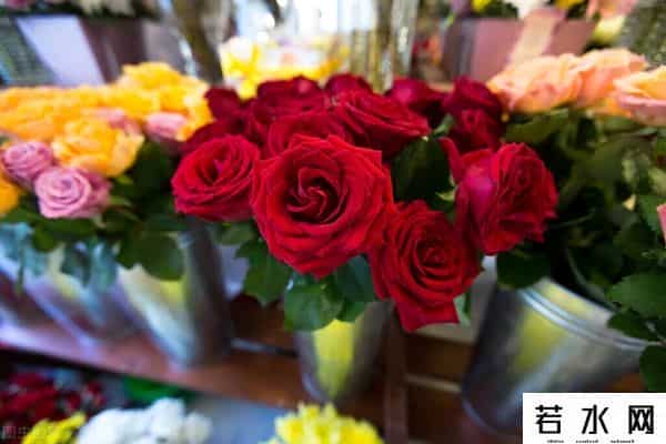 花店加盟利润,开花店怎样才能赚钱？答案在这里