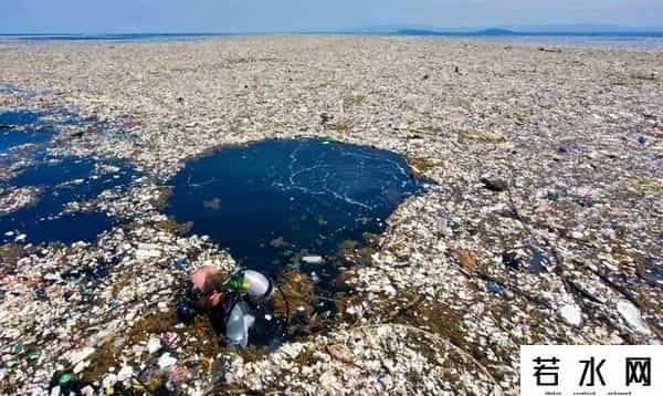 漂浮大陆,世界“第八大陆”,太平洋垃圾带,那么多垃圾哪里来的?