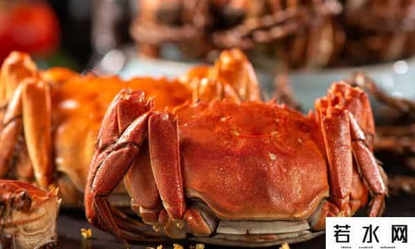 杭州抢人大战,杭州凌晨抢蟹大战：一斤只要2块，真有人拼车去捡漏！