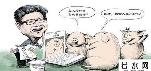 网易 猪,养了7年，网易丁家猪终于开卖，一头8万8！贵在哪儿？
