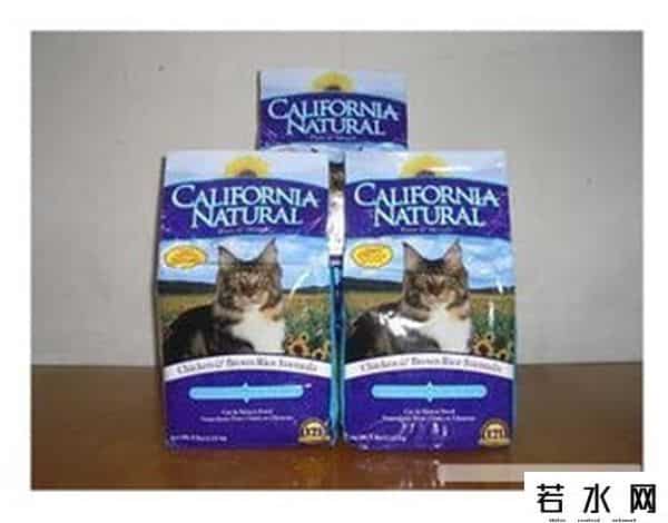 凌采露华,猫粮的基础知识及知名猫粮介绍