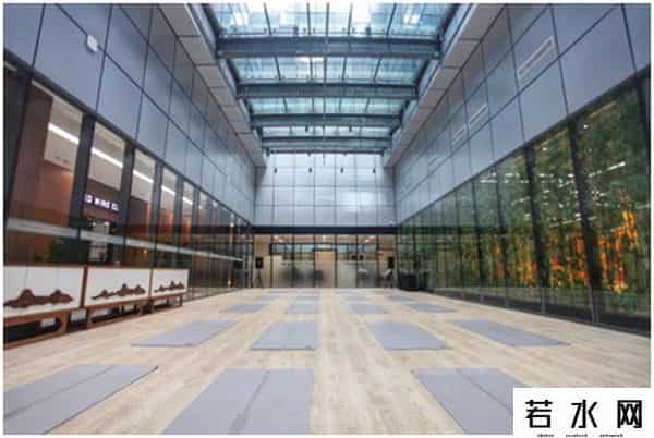 青鸟健身,青鸟健身国航旗舰店启幕：不只修身更能养性