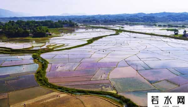 稻田丽森,太美,齐岳山风光在《人民日报》头版刊发