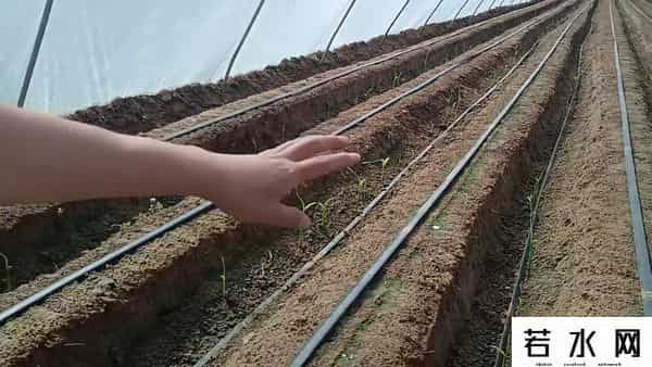 谁用谁知道,谁用谁知道