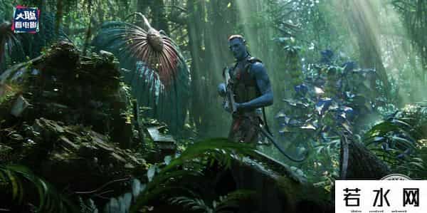 soso哼唱,《阿凡达2》新预告万字解析！诸多细节脑洞全片剧情
