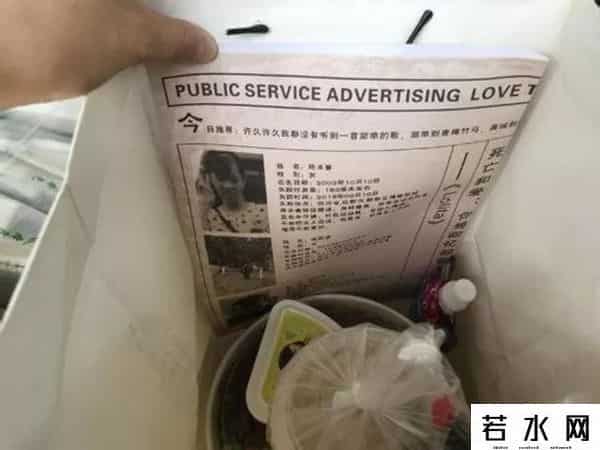 免费广告,狂发小广告,还免费上央视!这些“烦人”企业,为何火遍全网?