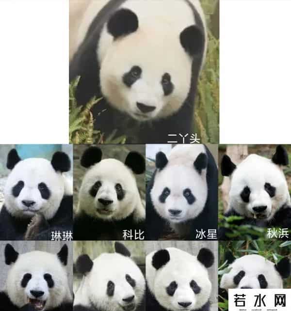 40403,8.13过生日的熊熊们(下)