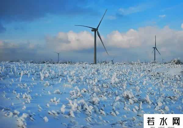 稻田丽森,太美,齐岳山风光在《人民日报》头版刊发