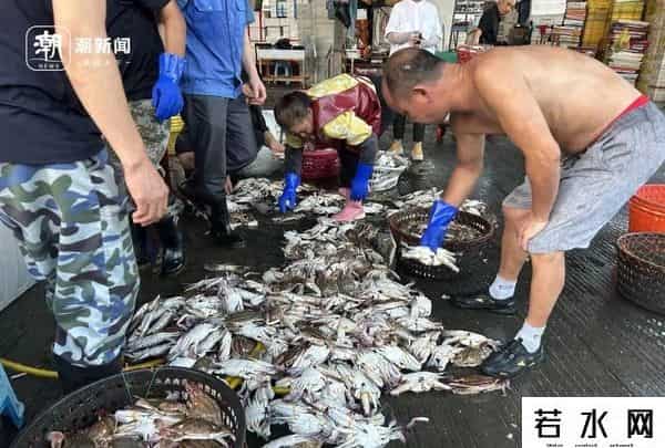 杭州抢人大战,杭州凌晨抢蟹大战：一斤只要2块，真有人拼车去捡漏！