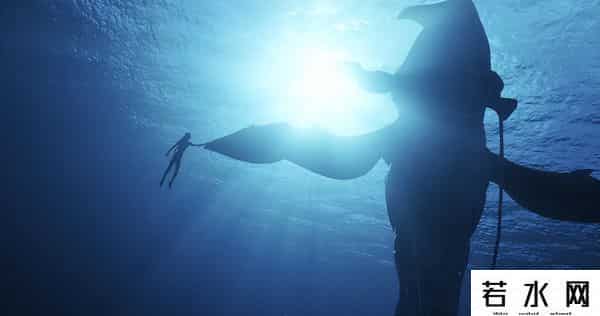 阿凡达2,《阿凡达2》亲手掀翻曾经的极限,一顿操作猛如虎后,值在哪?